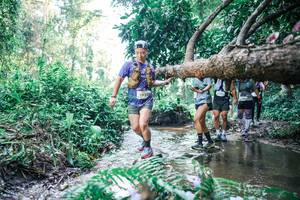 BIB: 
                            <button type="button" onclick="openModal(25445166)" class="btn btn-primary btn-sm float-right btn-popup" data-toggle="modal" data-target=".modal-high-quality">
                        <i class="fas fa-shopping-cart"></i> Add to Cart
                    </button>
                                            <button type="button" onclick="isThisMe(25445166, true)" class="btn btn-success btn-sm float-right btn-popup btn-isme hidden" data-toggle="tooltip" data-placement="bottom" title="นี่คือรูปของคุณใช่ไหม คลิกที่นี่เพื่อเอาเข้าอัลบั้ม">
                        <i class="fas fa-plus"></i> Add to album
                    </button>
                    <button type="button" onclick="isThisMe(25445166, false)" class="btn btn-warning btn-sm float-right btn-popup btn-isnotme hidden">
                        <i class="fas fa-ban"></i> Remove from album
                    </button>